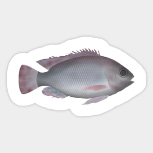 Singida Tilapia Sticker